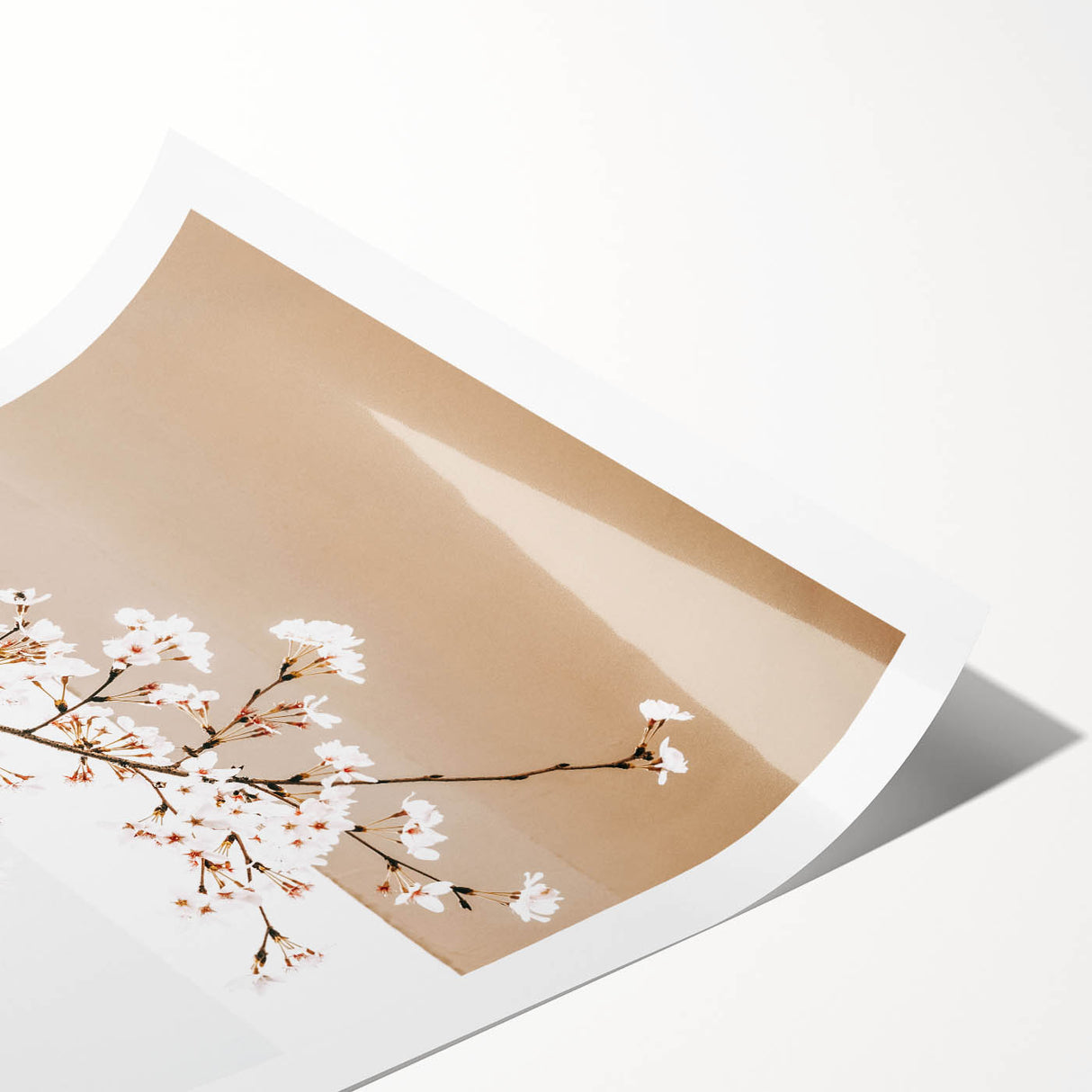 Farmhouse Wall Art - Delicate Blossom Branch in Minimalist Rustic Style