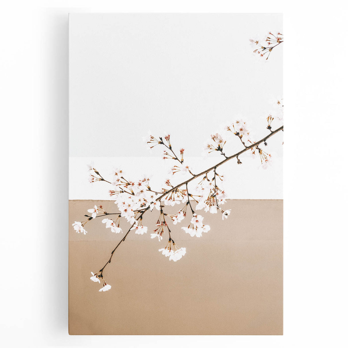 Farmhouse Wall Art - Delicate Blossom Branch in Minimalist Rustic Style
