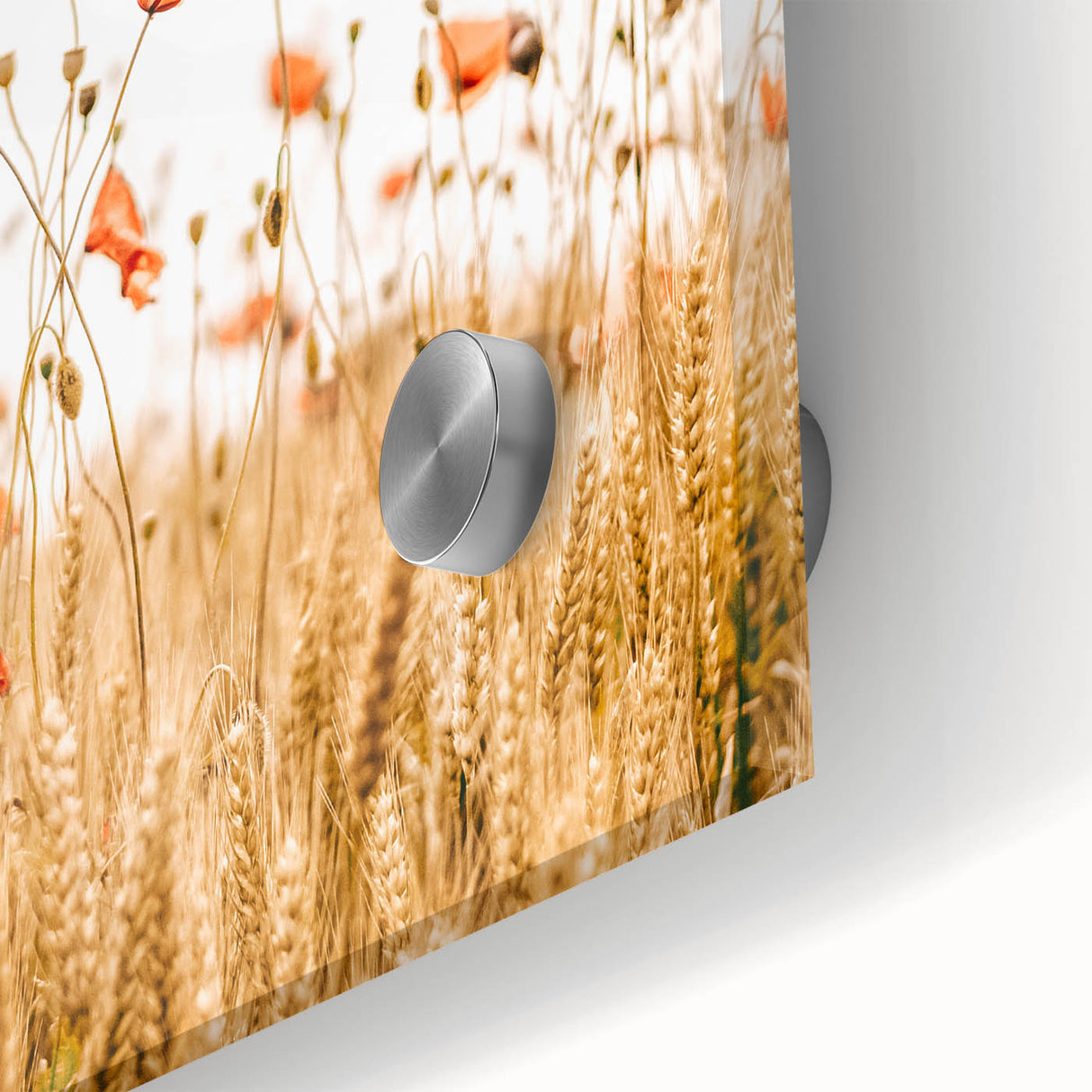 Farmhouse Wall Art - Poppies in Golden Wheat Field Rustic Style Print
