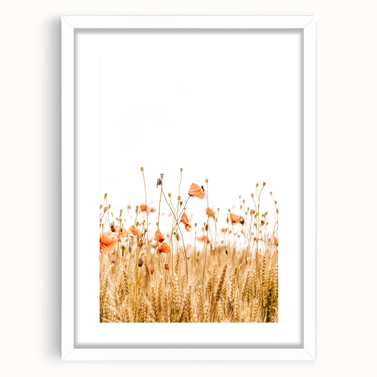 Farmhouse Wall Art - Poppies in Golden Wheat Field Rustic Style Print