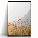 Farmhouse Wall Art - Poppies in Golden Wheat Field Rustic Style Print