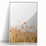 Farmhouse Wall Art - Poppies in Golden Wheat Field Rustic Style Print