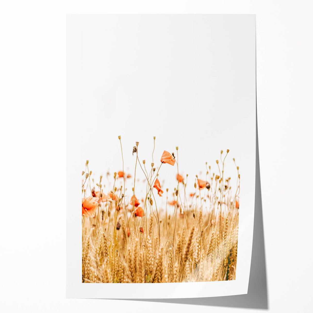 Farmhouse Wall Art - Poppies in Golden Wheat Field Rustic Style Print