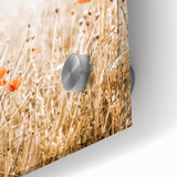 Farmhouse Wall Art - Delicate Poppies in Golden Field Rustic Style Print