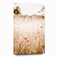 Farmhouse Wall Art - Delicate Poppies in Golden Field Rustic Style Print