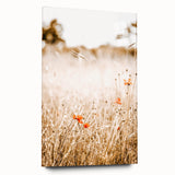 Farmhouse Wall Art - Delicate Poppies in Golden Field Rustic Style Print