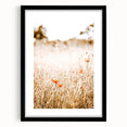 Farmhouse Wall Art - Delicate Poppies in Golden Field Rustic Style Print