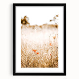 Farmhouse Wall Art - Delicate Poppies in Golden Field Rustic Style Print