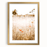 Farmhouse Wall Art - Delicate Poppies in Golden Field Rustic Style Print