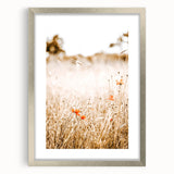 Farmhouse Wall Art - Delicate Poppies in Golden Field Rustic Style Print