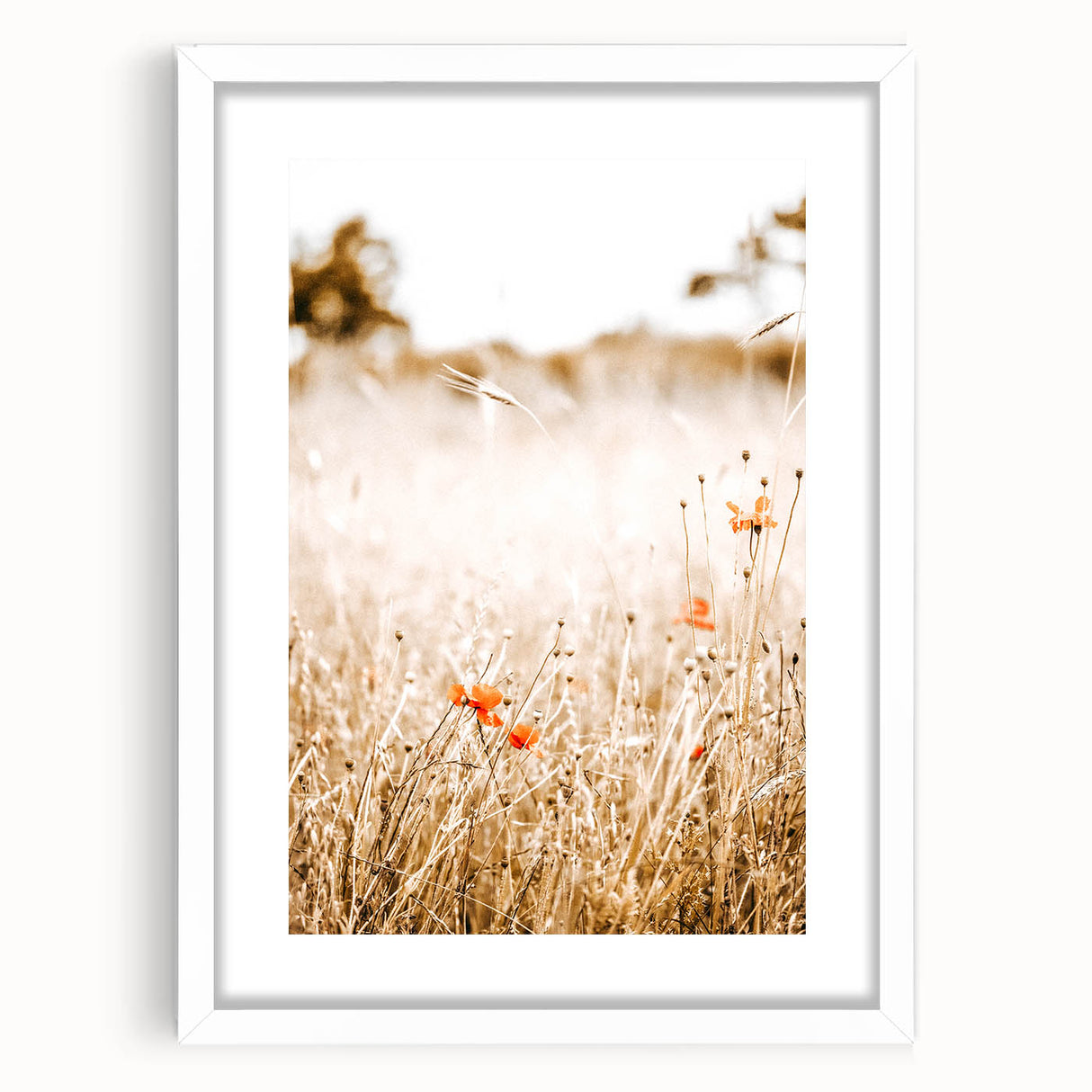 Farmhouse Wall Art - Delicate Poppies in Golden Field Rustic Style Print