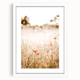 Farmhouse Wall Art - Delicate Poppies in Golden Field Rustic Style Print