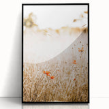 Farmhouse Wall Art - Delicate Poppies in Golden Field Rustic Style Print