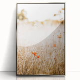 Farmhouse Wall Art - Delicate Poppies in Golden Field Rustic Style Print