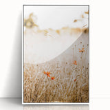 Farmhouse Wall Art - Delicate Poppies in Golden Field Rustic Style Print