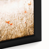 Farmhouse Wall Art - Delicate Poppies in Golden Field Rustic Style Print