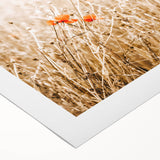 Farmhouse Wall Art - Delicate Poppies in Golden Field Rustic Style Print