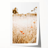 Farmhouse Wall Art - Delicate Poppies in Golden Field Rustic Style Print