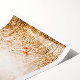 Farmhouse Wall Art - Delicate Poppies in Golden Field Rustic Style Print