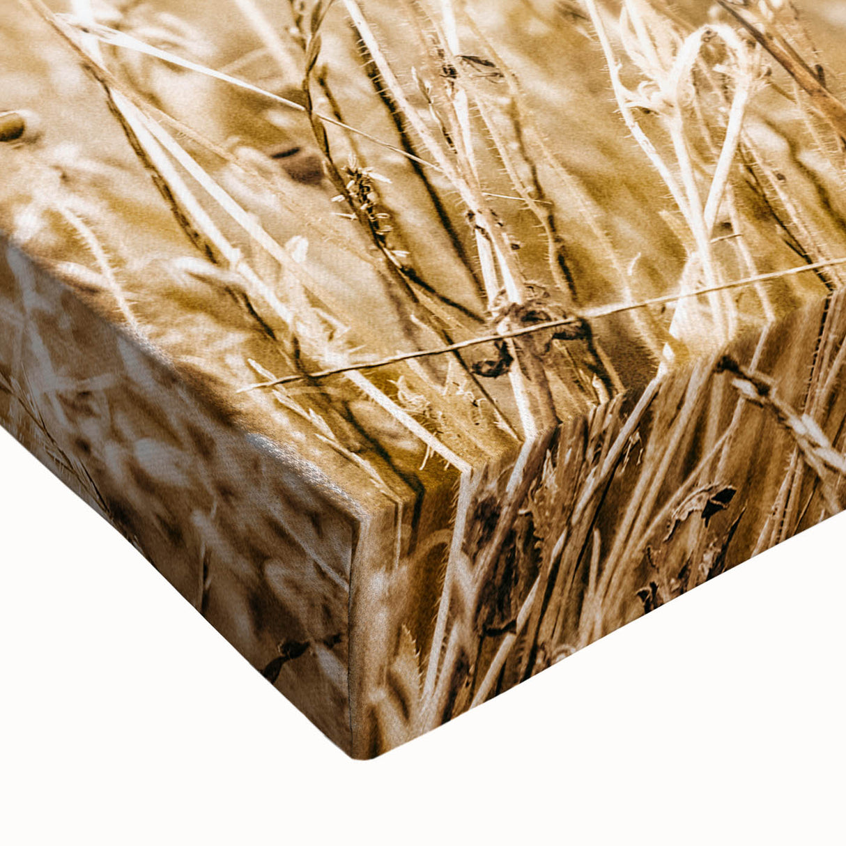 Farmhouse Wall Art - Delicate Poppies in Golden Field Rustic Style Print