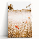 Farmhouse Wall Art - Delicate Poppies in Golden Field Rustic Style Print