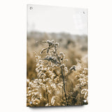 Farmhouse Wall Art - Soft Sunlit Wildflowers in Rustic Field Print