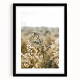 Farmhouse Wall Art - Soft Sunlit Wildflowers in Rustic Field Print