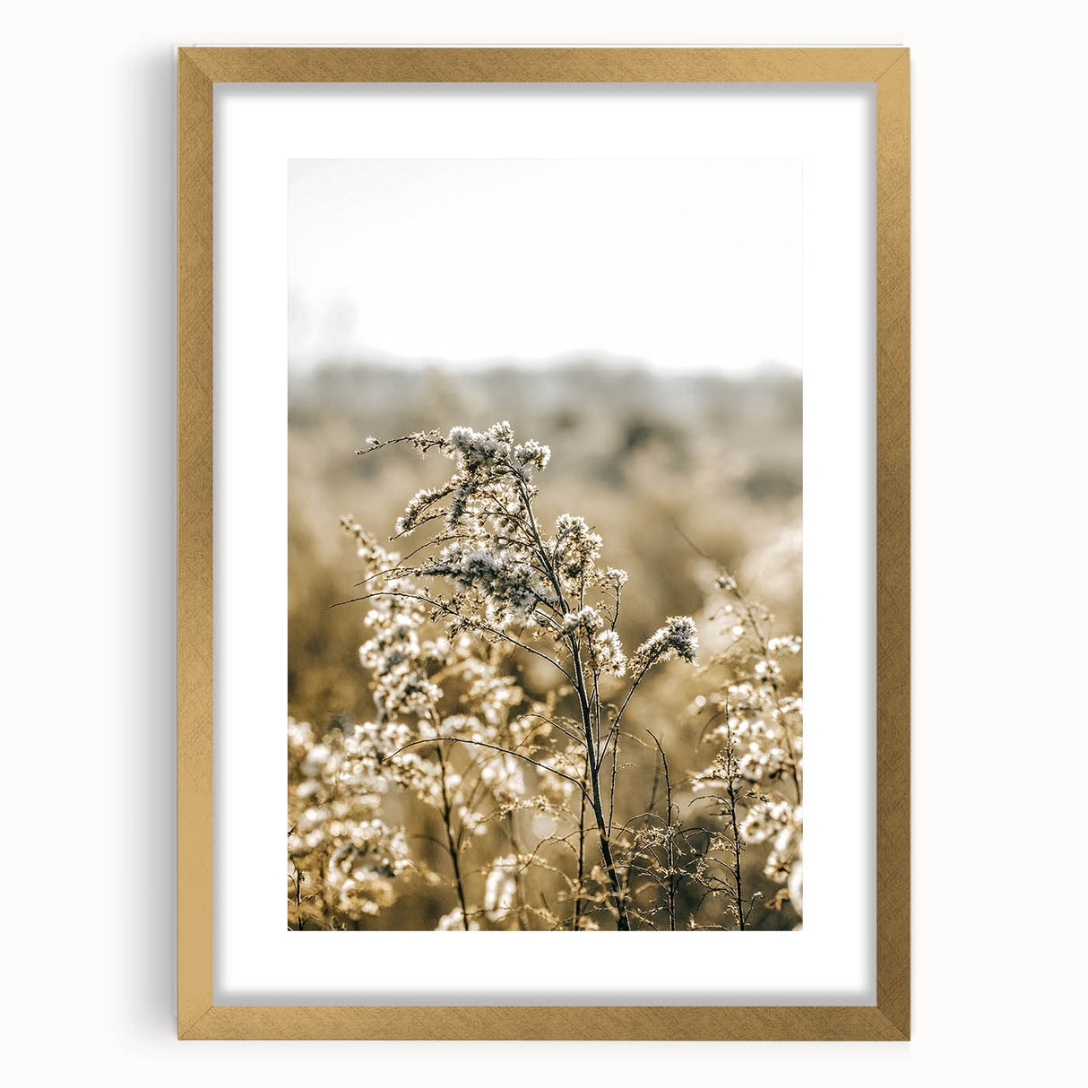 Farmhouse Wall Art - Soft Sunlit Wildflowers in Rustic Field Print