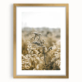 Farmhouse Wall Art - Soft Sunlit Wildflowers in Rustic Field Print