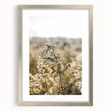 Farmhouse Wall Art - Soft Sunlit Wildflowers in Rustic Field Print