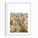 Farmhouse Wall Art - Soft Sunlit Wildflowers in Rustic Field Print