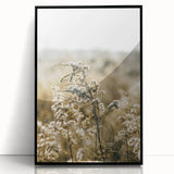 Farmhouse Wall Art - Soft Sunlit Wildflowers in Rustic Field Print