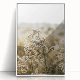 Farmhouse Wall Art - Soft Sunlit Wildflowers in Rustic Field Print
