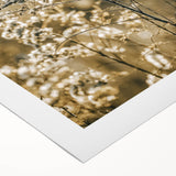 Farmhouse Wall Art - Soft Sunlit Wildflowers in Rustic Field Print