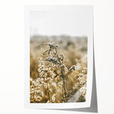 Farmhouse Wall Art - Soft Sunlit Wildflowers in Rustic Field Print