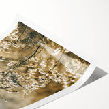 Farmhouse Wall Art - Soft Sunlit Wildflowers in Rustic Field Print