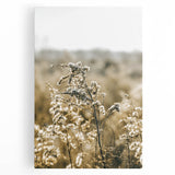 Farmhouse Wall Art - Soft Sunlit Wildflowers in Rustic Field Print