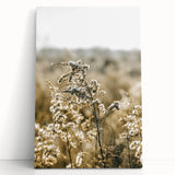Farmhouse Wall Art - Soft Sunlit Wildflowers in Rustic Field Print