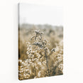 Farmhouse Wall Art - Soft Sunlit Wildflowers in Rustic Field Print