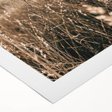 Farmhouse Wall Art - Rustic Sunset Landscape for Cozy Country Decor