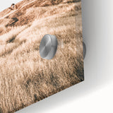 Farmhouse Wall Art - Golden Field Landscape for Rustic Country Decor