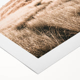 Farmhouse Wall Art - Golden Field Landscape for Rustic Country Decor