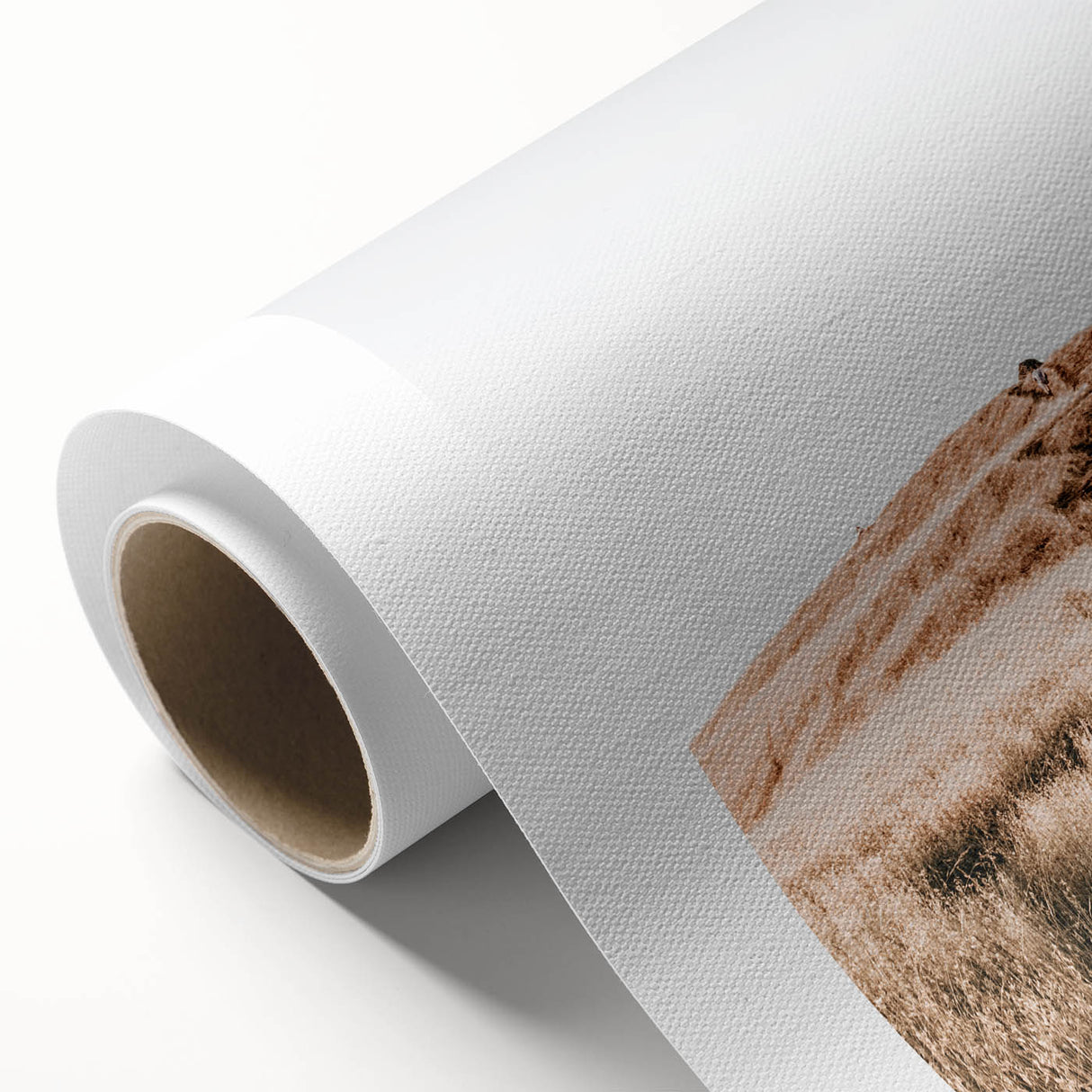 Farmhouse Wall Art - Golden Field Landscape for Rustic Country Decor