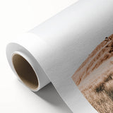 Farmhouse Wall Art - Golden Field Landscape for Rustic Country Decor