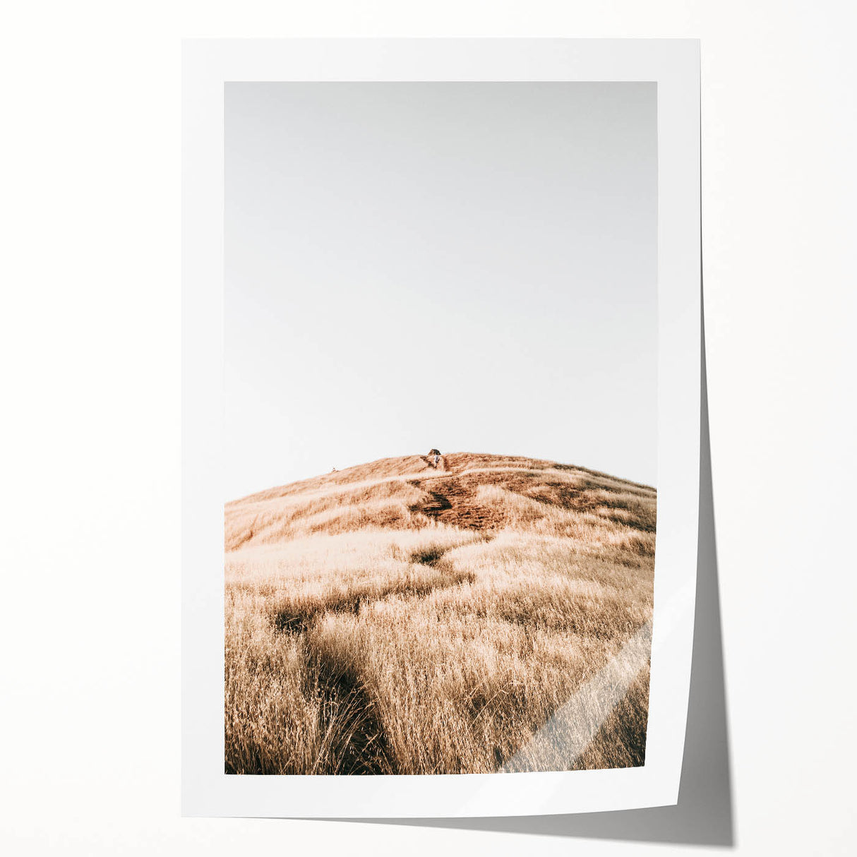 Farmhouse Wall Art - Golden Field Landscape for Rustic Country Decor