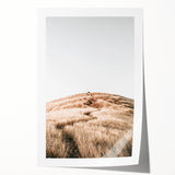 Farmhouse Wall Art - Golden Field Landscape for Rustic Country Decor