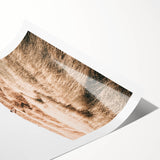 Farmhouse Wall Art - Golden Field Landscape for Rustic Country Decor