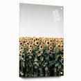 Farmhouse Wall Art - Vibrant Sunflower Field for Rustic Country Decor