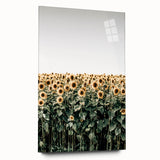 Farmhouse Wall Art - Vibrant Sunflower Field for Rustic Country Decor