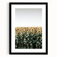 Farmhouse Wall Art - Vibrant Sunflower Field for Rustic Country Decor